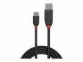 LINDY Black Line USB Cable USB/A-C 0.15m