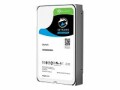 Seagate SkyHawk Surveillance HDD ST2000VX015 - Disque dur