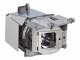 ViewSonic RLC-111 - Projektorlampe - für ViewSonic PA502S, PA502X