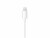 Bild 2 Apple Audio-Kabel Apple Lightning - Klinke 3.5 mm, male
