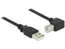 DeLock USB 2.0-Kabel USB A - USB B