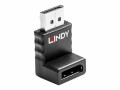 LINDY DisplayPort 1.2 adapter upwards