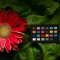 Bild 7 Calibrite Referenz Karte ColorChecker Classic Nano * Gratis 64 GB Sandisk SD-Karte *