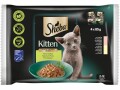 Sheba Nassfutter Kitten Sauce feine Vielfalt, 4 x 85g
