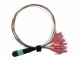 Value MPO-Fanout Kabel OM4 MPO/12xLC 2m