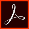 Adobe ACROBAT STD 2020 TLP COM UPG NMS FI LICS