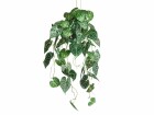 Botanic-Haus Kunstpflanze Anthurium hängend 87 cm, Produkttyp