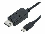 Roline Adapterkabel 2.0m USB Typ C-DP