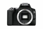 Canon Kamera EOS 250D Body
