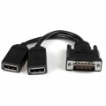 StarTech.com - 8in LFH 59 Male to Dual Female DisplayPort DMS 59 Cable