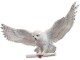 Noble Collection  Wandschmuck Hedwig, Altersempfehlung ab: Ohne