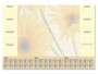 Sigel Schreibunterlage Finesse, 410 x 595 mm mit Kalender