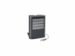 RayTec Infrarot Strahler VAR2-IPPOE-I16-1, Lichtart: IR