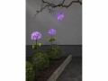 Star Trading Gartenlicht Solar Hortensia, Pink, Betriebsart