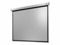 Celexon Deckeinbauleinwand Motor Professional Plus 180x112cm