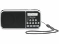 TechniSat DAB+ Radio Viola 3 Schwarz