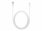 Apple Lightning auf USB Kabel (2m) - BULK