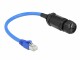 DeLock Patchkabel RJ45 zu RJ45 Cat 6, S/FTP, 0.25