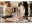 Image 5 Anova Dampfgarer SOUS-VIDE COOKER 3.0 1100W, 8 l/min, Detailfarbe