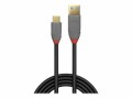 LINDY Anthra Line USB Cable, USB 3.1