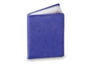 Swicure Schutzhülle Card-Safe Königsblau, Produkttyp