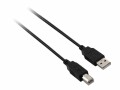 V7 Videoseven V7 - USB-Kabel - USB (M