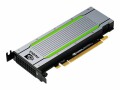 Hewlett-Packard HPE NVIDIA Tesla T4 16GB