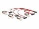 DeLock DeLOCK - Internes SAS-Kabel (Serial Attached SCSI) -