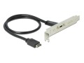 DeLock Bracket USB-C, 3.2 Gen2, 10Gbps, Datenanschluss Seite A