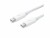 Image 0 Apple - Thunderbolt-Kabel - Mini DisplayPort (M) -