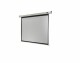 Celexon Motorleinwand Eco 240x180cm 4:3, Leinwandtyp