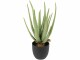 Botanic-Haus Kunstpflanze Aloe im Topf 38 cm, Produkttyp: Topfpflanze