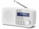 Sharp DAB+ Radio DR-P420 ? Weiss, Radio Tuner: FM