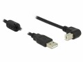 DeLock USB 2.0-Kabel USB A - USB B