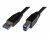 Bild 1 StarTech.com - 15ft Active USB 3.0 USB-A to USB-B Cable - M/M - USB 3.1 Gen 1