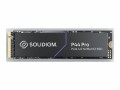 SOLIDIGM P44 Pro Series - SSD - 1 TB