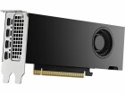 PNY Grafikkarte NVIDIA RTX 2000 Ada Generation 16 GB