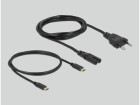 DeLock USB-Wandladegerät Typ-A und Typ-C, Ladeport Output: 2x