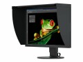 EIZO Monitor CG2420 Swiss Garantie, Monitore