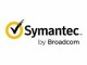 Broadcom Symantec Endpoint Security Subscription, 100-499, 1 Jahr