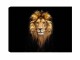 Wallxpert Bild Lion 50 x 70 cm, Motiv: Löwe