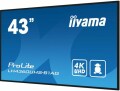 iiyama Monitor ProLite LH4360UHS-B1AG, Bildschirmdiagonale: 42.5 "