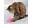 Immagine 4 Kong Cat Flingaroo Tutu, 18 cm, assortiert, Produkttyp