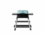 Everdure FORCE Gasgrill, mint mit Doppelboden, Betriebsart: Gas