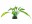 SuperFish Kunstpflanze Cryptocoryne, 25 cm, Einrichtung: Kunstpflanzen, Material: Kunststoff