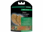 Dennerle Wasserpflege Nano Catappa Leaves, 12 x = 1200