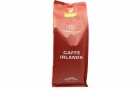 Henauer Caffè Irlanda Espresso Bohnen, Beutel 1 kg