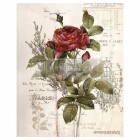 Redesign Decor Transferfolie - Botanical Rose