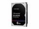 Western Digital Ultrastar HA340 6TB SATA, WESTERN DIGITAL Ultrastar DC