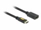 DeLock High Speed HDMI with Ethernet - HDMI extension